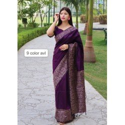 BANGLORI HANDLOOM RAW SILK SAREE/G-F