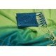 AISHANI PETITE SAREES/MS