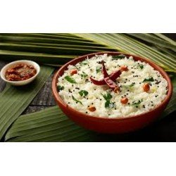 SPL CURD RICE