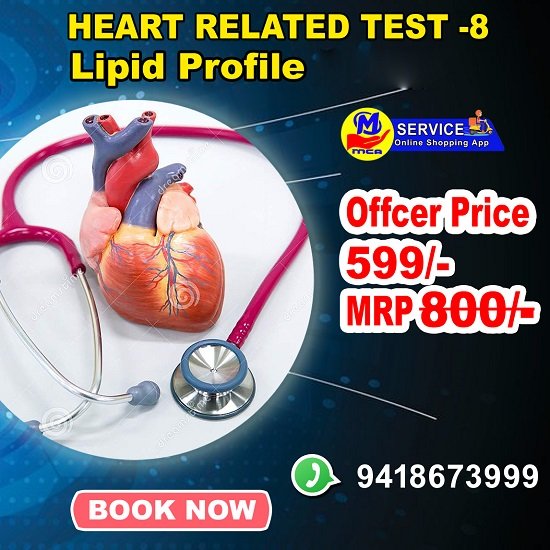 Lipid Profile Test