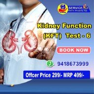 Kidney Function Test 