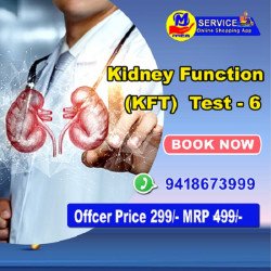 Kidney Function Test 
