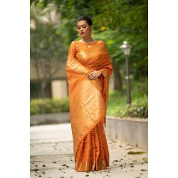 Soft banarasi silk Tanchoi saree with self weaving/ GF43 - Wedding Banarasi